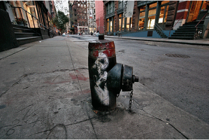 111408_dailyimage