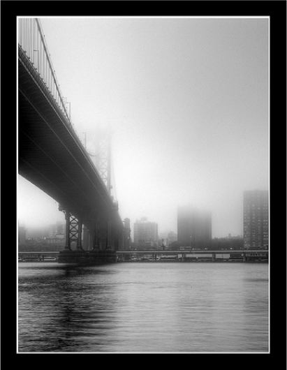 112508_dailyimage
