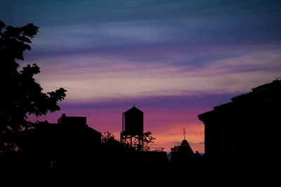 051109_dailyimage 051109_dailyimage