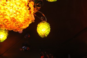IMG_9047
